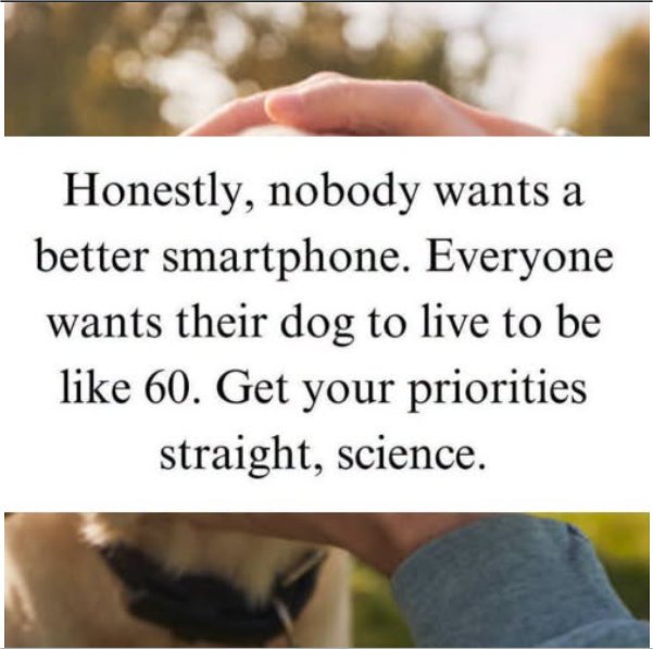 a better smartphone majorgeeks.jpg
